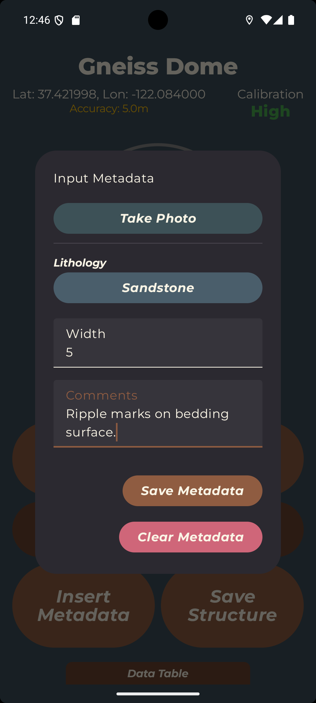 Insert metadata dialog