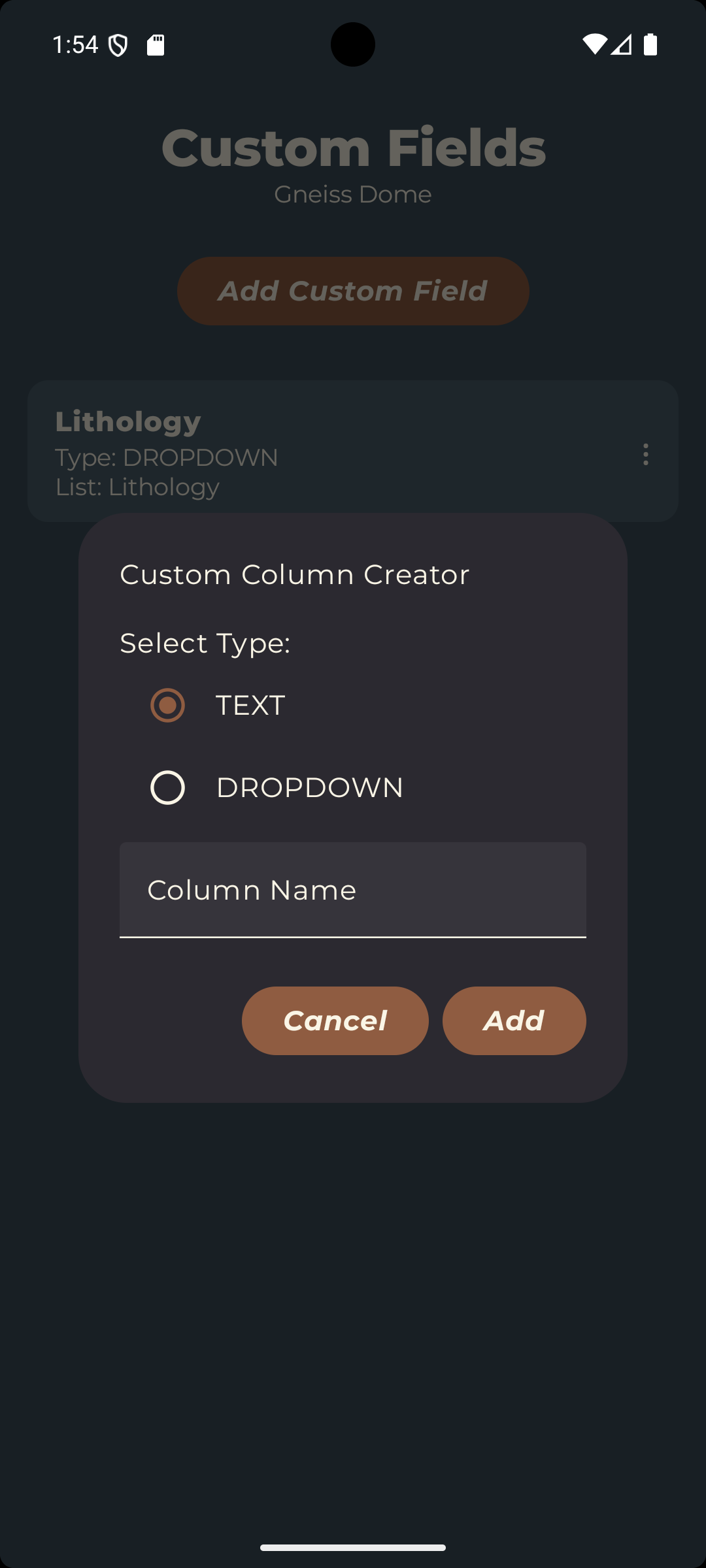 Text field